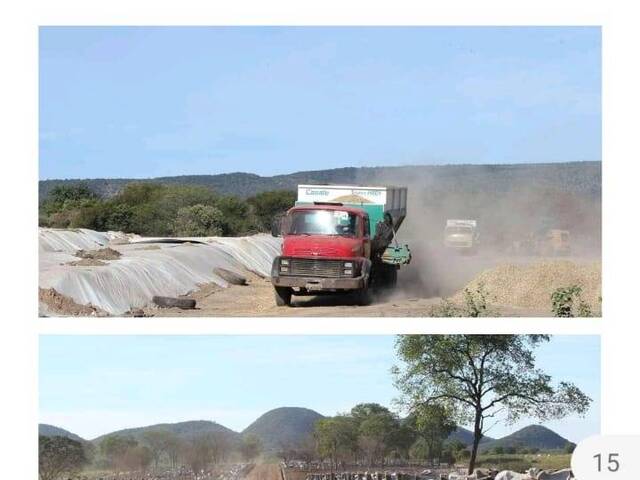 #Fazenda Pi - Chácara para Venda em Muquém de São Francisco - BA - 3