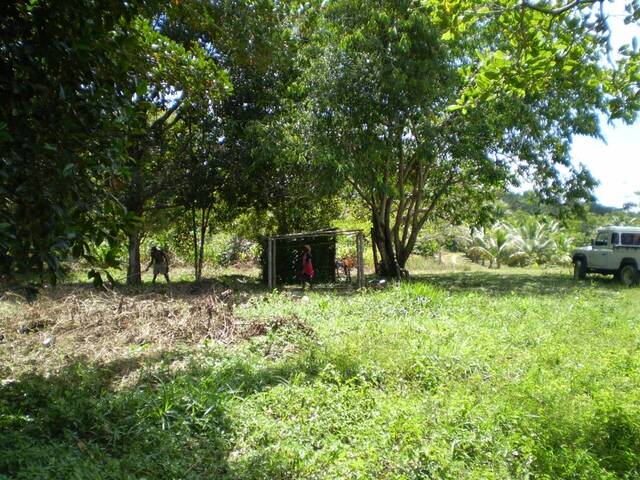 #fazenda Ni - Chácara para Venda em Nilo Peçanha - BA